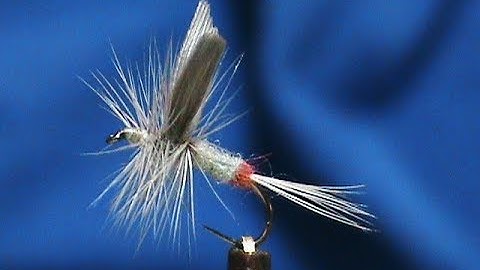 Beginner Fly Tying an Iron Blue Dun with Jim Misiura