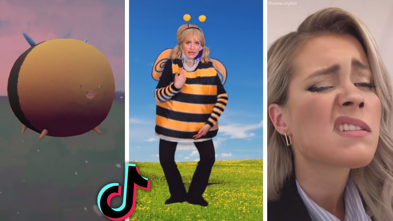 My Dog Stepped on a Bee: The TikTok Trend, Explained