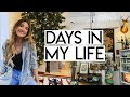DAYS IN MY LIFE | a very happy day, apartment updates, and an unexpected injury!