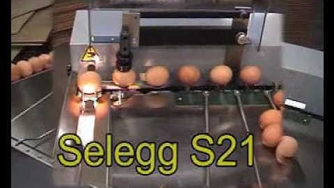 Egg coding EggFlex HeDiPack on a Riva Selegg S21 grader