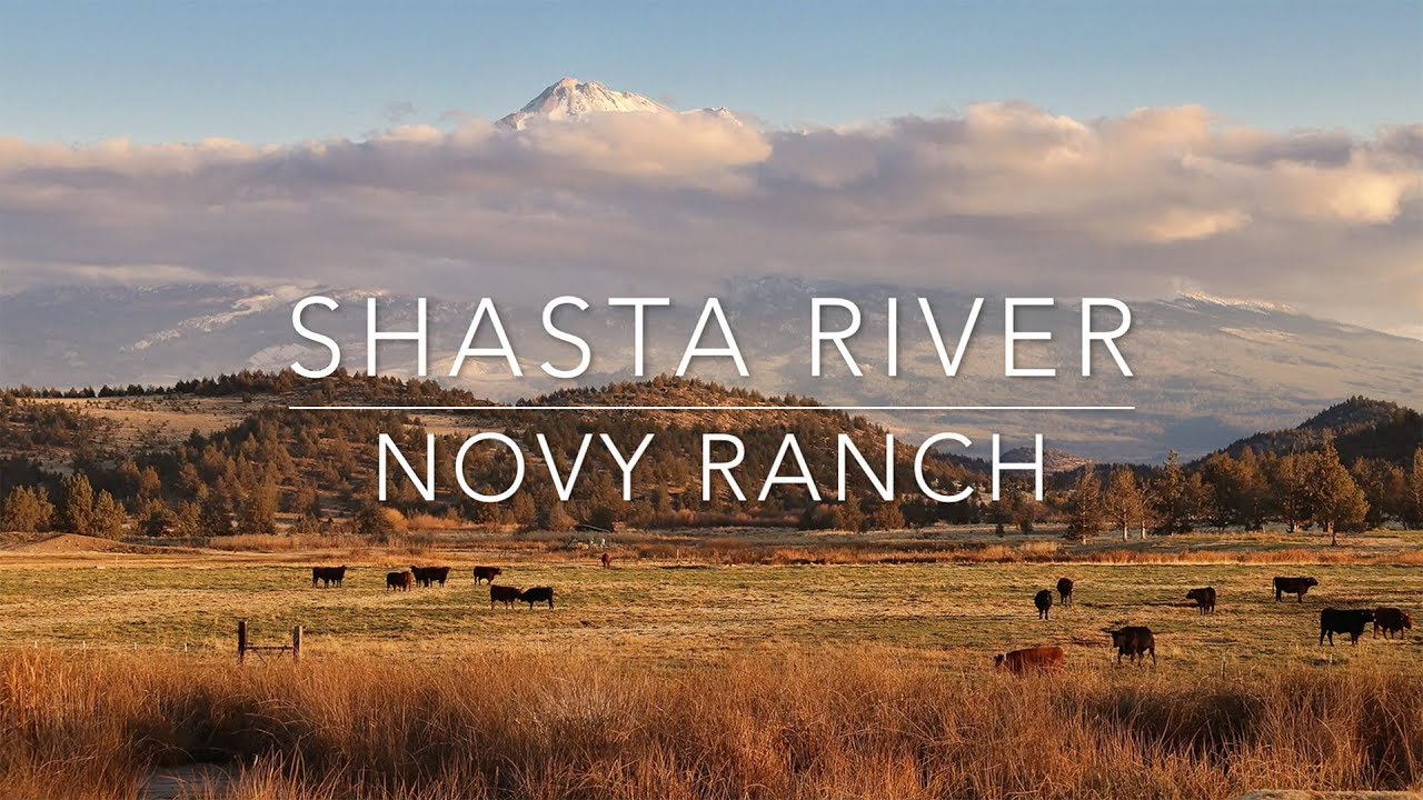 Shasta River Novy Ranch YouTube