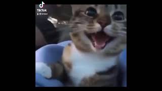 He Was Enjoying It