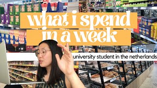 WHAT I SPEND IN A WEEK *on groceries* (as a university student in Rotterdam, The Netherlands)