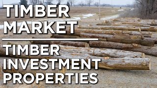 Timber Investment Properties | Why You Should Buy Timber Property Now!! | Land Investing