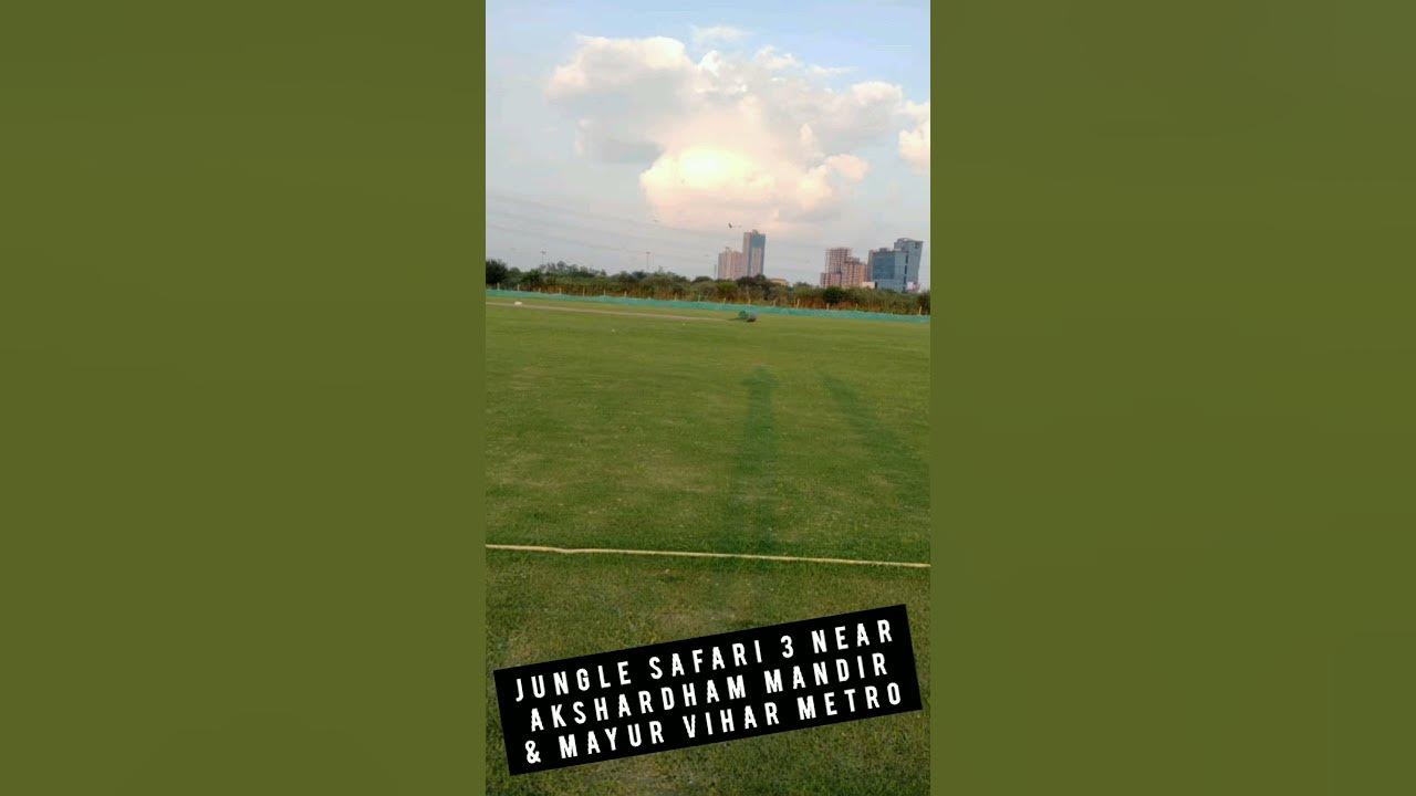 jungle safari cricket ground