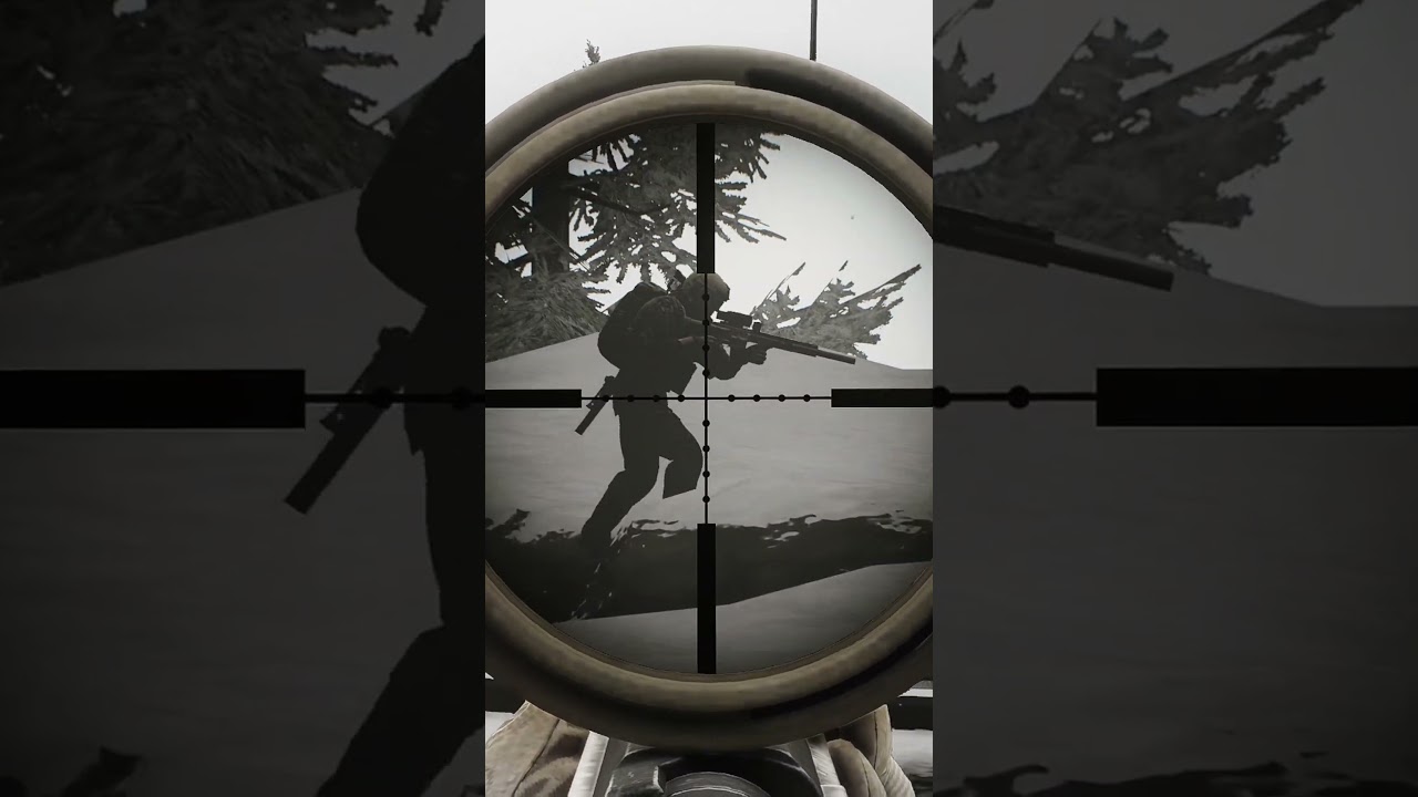 The Timing 💀 #escapefromtarkov #eft #tarkov #pvp #lighthouse #sniping #punisher