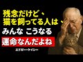 エドガー・ケイシー｜これが猫を飼っている人たちの運命だ！
