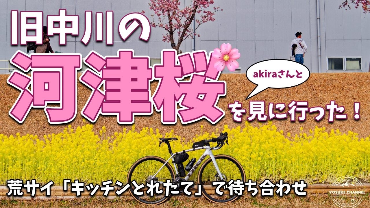 荒サイのキッチンとれたてで待ち合わせして旧中川沿いの河津桜を見に行ったよ！