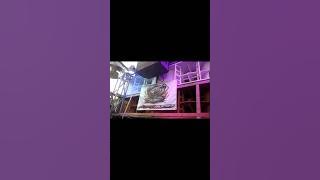 Download lagu Next Audio & NF Lighting #karnaval #manunggal #2025