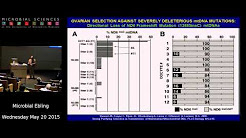 Dr. Doug Wallace - Talk from 8th Annual Oliver Smithies Symposium