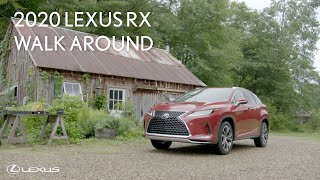 2020 Lexus RX 350 & 350 F SPORT Walk Around | Lexus