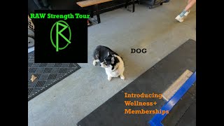 Wellness+ Memberships and RAW Strength Tour