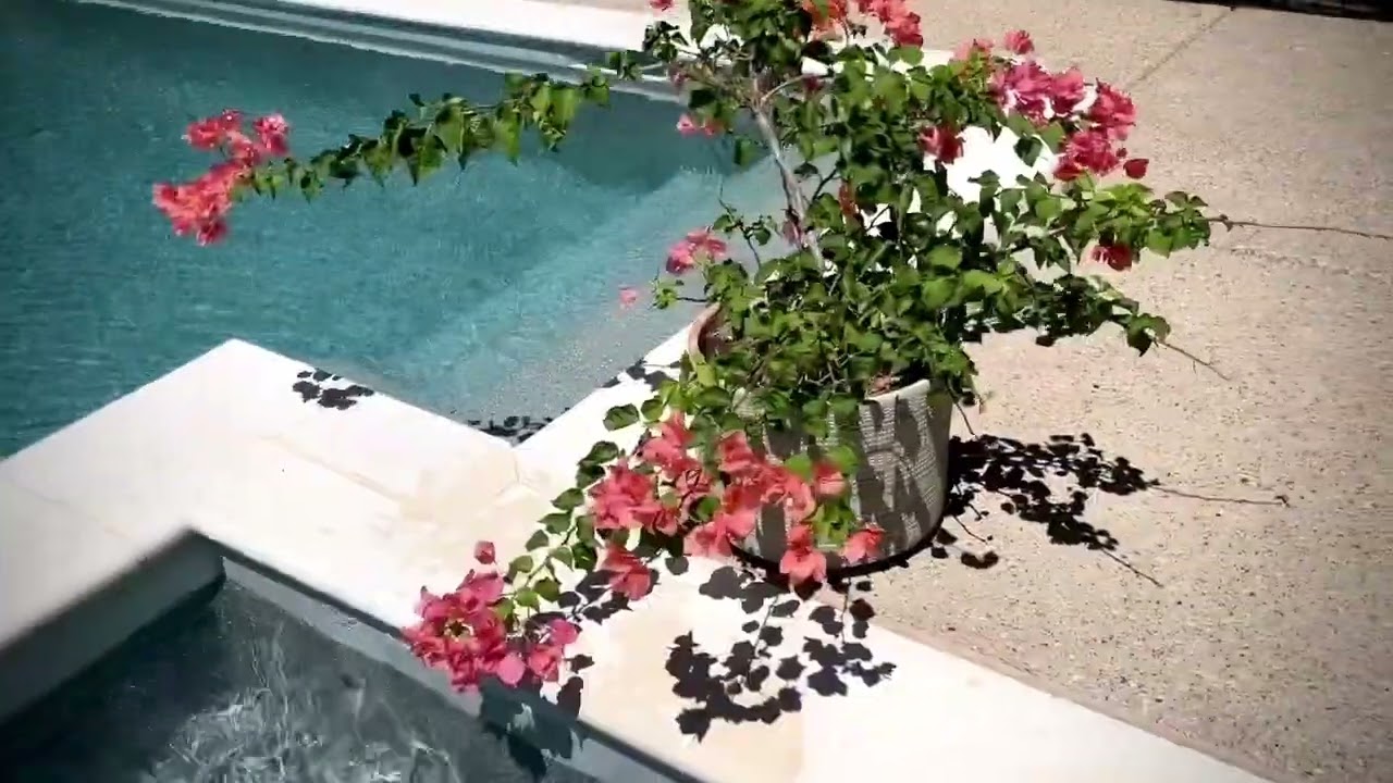 Review of RMR-86 Instant Mold and Mildew Stain Remover Spray - Scrub Free Formula - The scum is gone