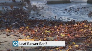 Sacramento Considers Banning Leaf Blowers On Spare The Air Days