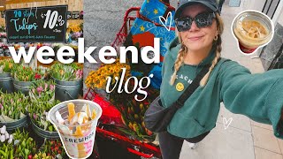touring an *insanely* overpriced apartment, trader joe&#39;s haul &amp; MASSIVE spring cleaning purge!