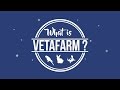 What is Vetafarm