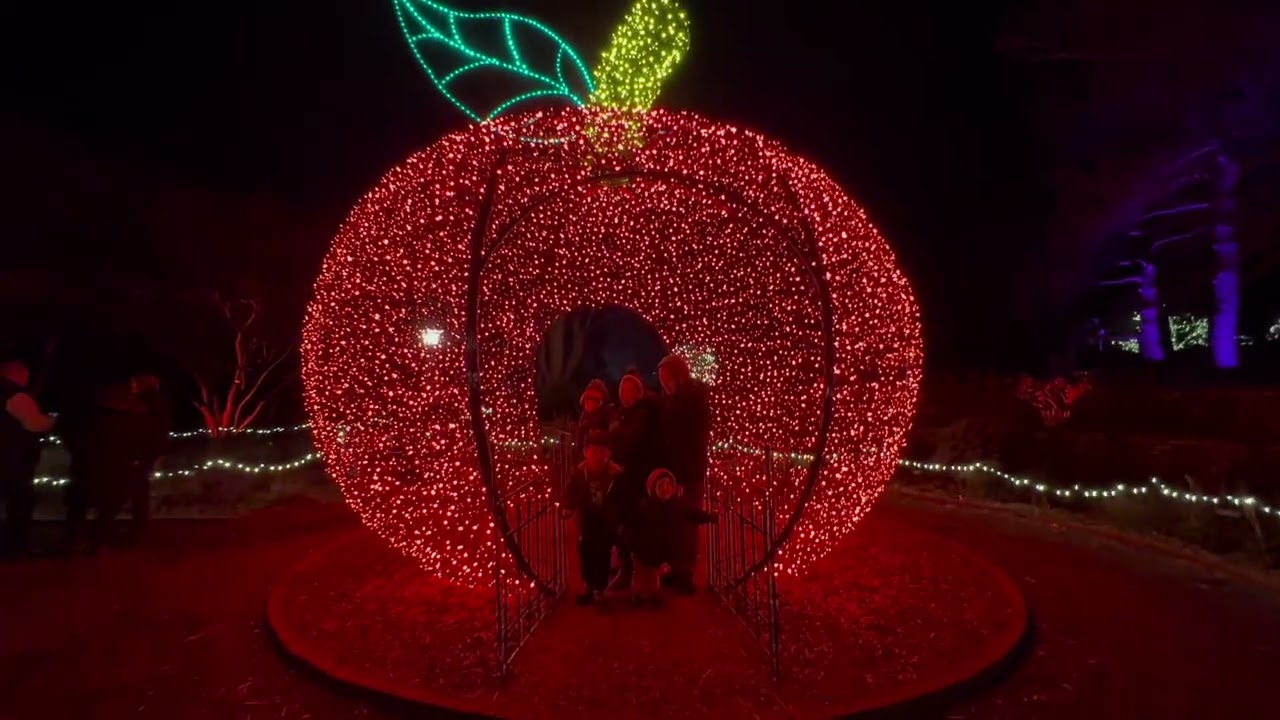 Pt.1 Minnesota Landscape Arboretum Christmas 2024