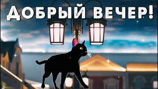 С добрым вечером! Пожелания доброго вечера!