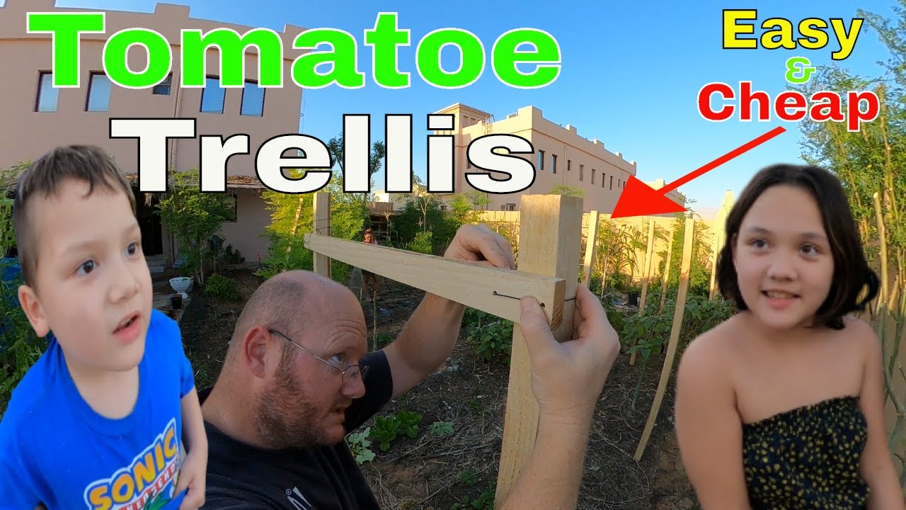 Easy and Cheap Building Tomatoe Trellis in our Garden ~ Bee13Bux