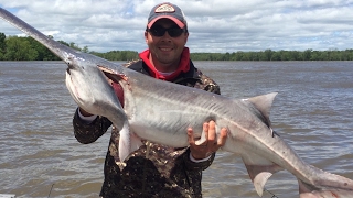 Snagging Paddlefish in Northeast Oklahoma