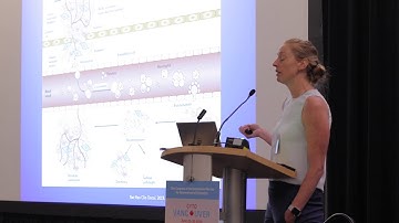 Extracellular Vesicles as a Liquid Biopsy in Cancer