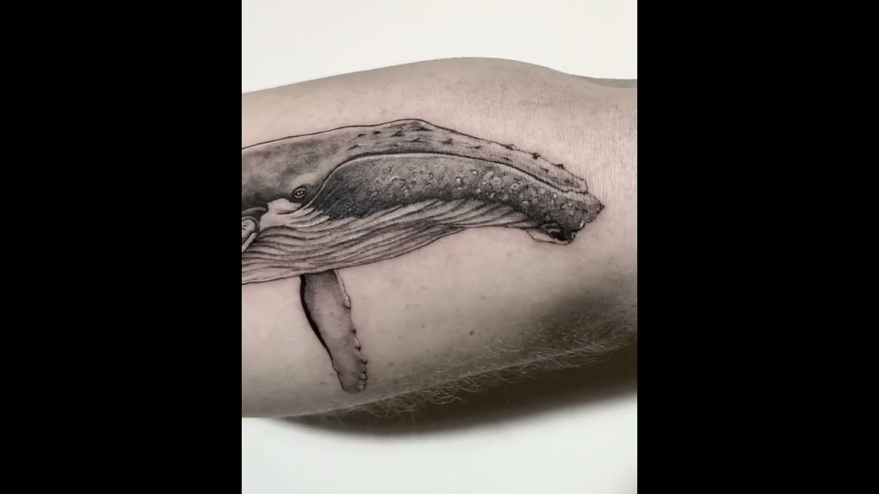 Whale Tattoo