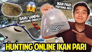 HUNTING ONLINE IKAN PARI PERTAMA AKU! BARU SAMPAI LANGSUNG DIBULLY PREDATOR LAIN! IKAN PARI MOTORO!