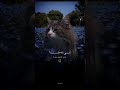 قرآن كريم وما هذه الحياة الدنيا الا لهو ولعب قرآن كريم ارح سمعك قرآن كريم ارح سمعك لا تهرب قرآن كريم وما هذه الحياة الدنيا الا لهو ولعب قرآن كريم ارح سمعك قرآن كريم ارح سمعك لا تهرب
