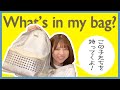 【初公開】撮影現場に持っていくカバンの中身紹介!