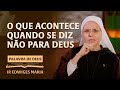 Palavra de Deus | O que acontece quando se diz não para Deus (Mc 12,1-12) Ir. Edwiges Maria 03/06