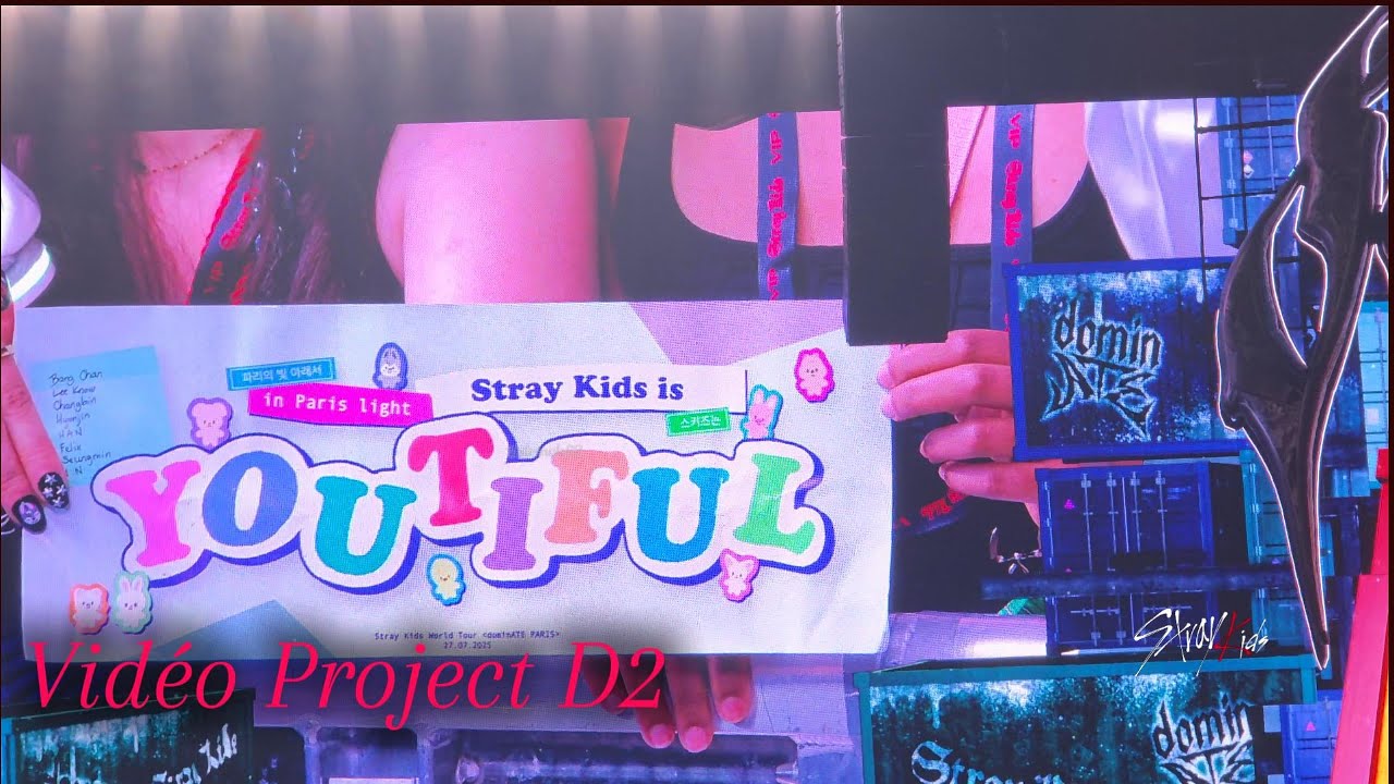 Vidéo Fan Project D2 - Stray Kids (스트레이 키즈) [250727] - Dominate World Tour in Paris [4K Fancam]