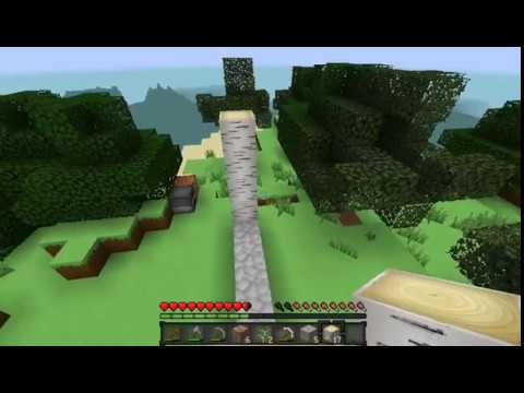 მაინქრაფთის ლეთს პლეი _ სახლი და ღამის მდუმარება