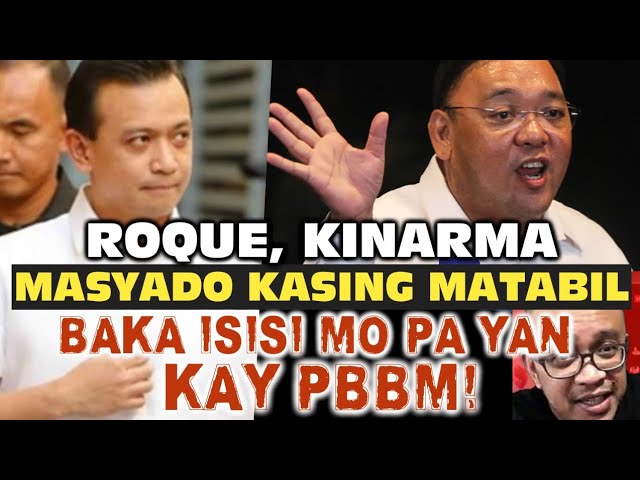 KAKASIRA KAY PBBM, HARRY ROQUE KINARMA TULOY! SI TRILLANES LANG PALA W@W@$AK SA KANYA! class=