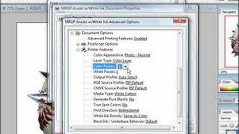 How to Use Color Layer in MultiRIP GP dtg Software