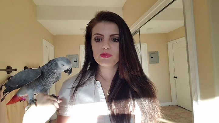 How George The African Grey Surprised Me | STORYTI...