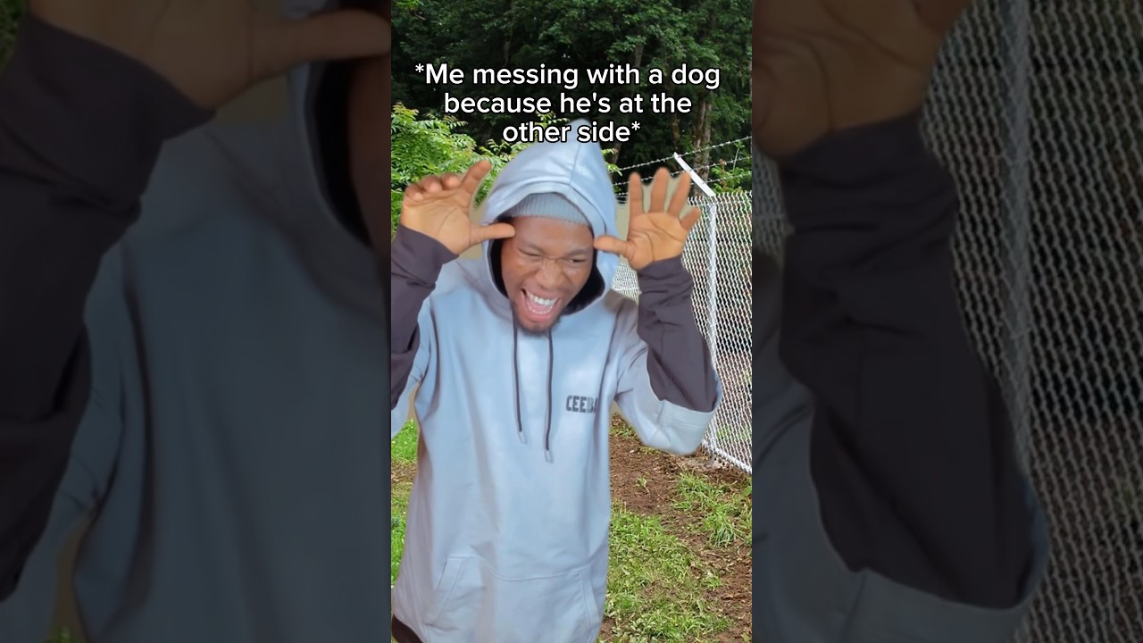 WHEN YOU MESS WITH THE WRONG DOG. 