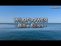 WILDFLOWER Billie Eilish Lyrics 