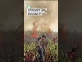 Perjuangan memadamkan api dengan Menembus Hutan yang Terbakar #SiagaTanggapBencana