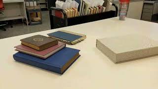 Tour of the NCSU Libraries Conservation Unit
