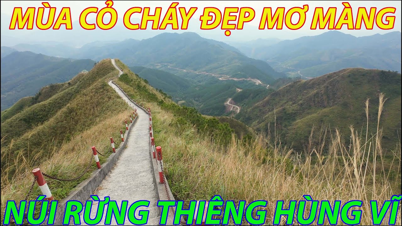 Chinh phục sống lưng khủng long Bình Liêu mùa cỏ cháy và cột mốc biên giới 1305