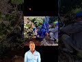 #fcnfm #youtube #za Professional Earth Borer for Reforestation and Landscaping