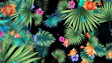 VJ LOOPS (4K) / FALLING TROPICAL LEAVES - MOTION GRAPHICS / ANIMATION / VISUAL LOOPS - SUMMER