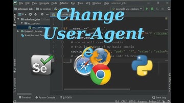 How to change the User-agent on selenium with Python