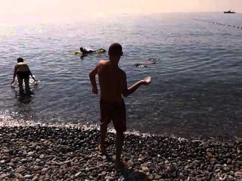 მედუზა კვარიათის