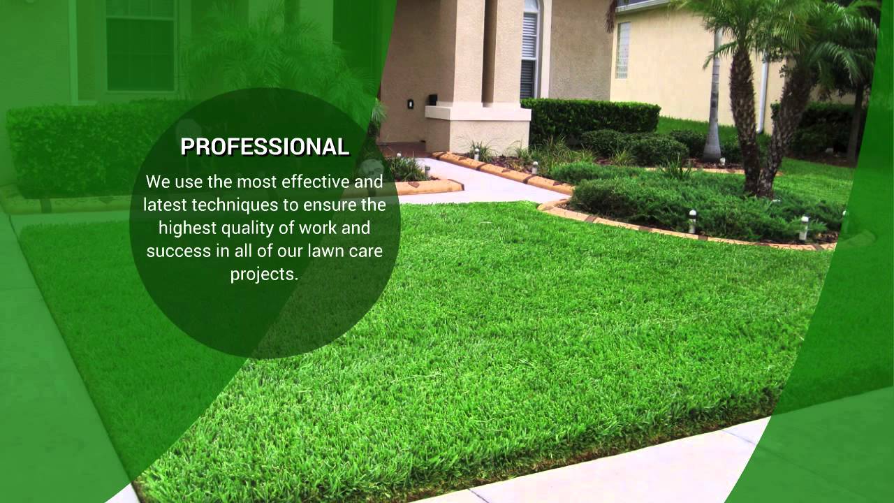 Lawn Care Tampa 813 501 6820 Tampa Lawn Care YouTube