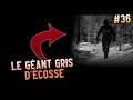 Le gant gris dcosse  les tranges histoires 36 shorts