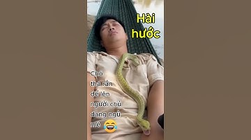 Chó tha rắn đặt lên bụng chủ đang ngủ – cái kết cười xỉu!🐍🐶😂#CameraGhiLại #ChóHàiHước#CườiVỡBụng