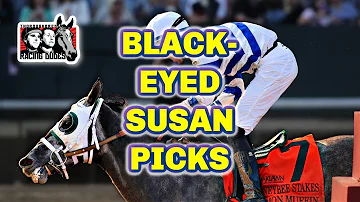 Pimlico Picks | Black-Eyed Susan Stakes 2024