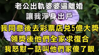 老公出軌婆婆逼離婚讓我淨身出戶我同意後隔天去彩票店兌了5億大獎領獎後他們全家求復合我怒懟一話叫他們家傻了眼# 翠花的秘密