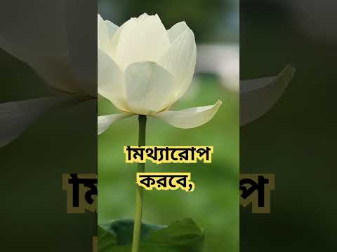 ভিডিও: একটি বাক্যে ইচ্ছাকৃত?